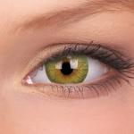 TruBlends Green Soft Contact Lens