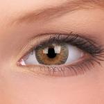 TruBlends Grey Soft Contact Lens