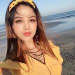 Lumina Shining Brown Soft Contact Lens