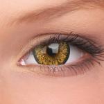 Sparkle Nutella Brown Soft Contact Lens