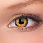 Orange Werewolf Fancy/Crazy Soft Contact Lens